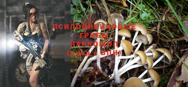 гашиш Белокуриха