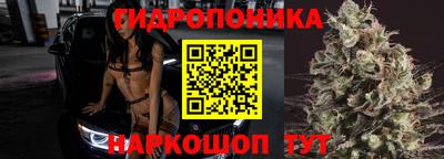 гидра Волгодонск