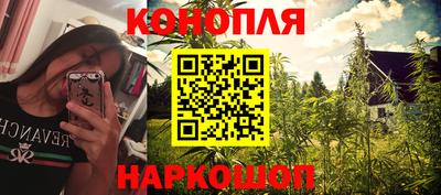 гидра Волгодонск