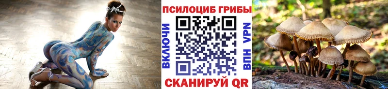 Псилоцибиновые грибы MAGIC MUSHROOMS  Горячий Ключ 