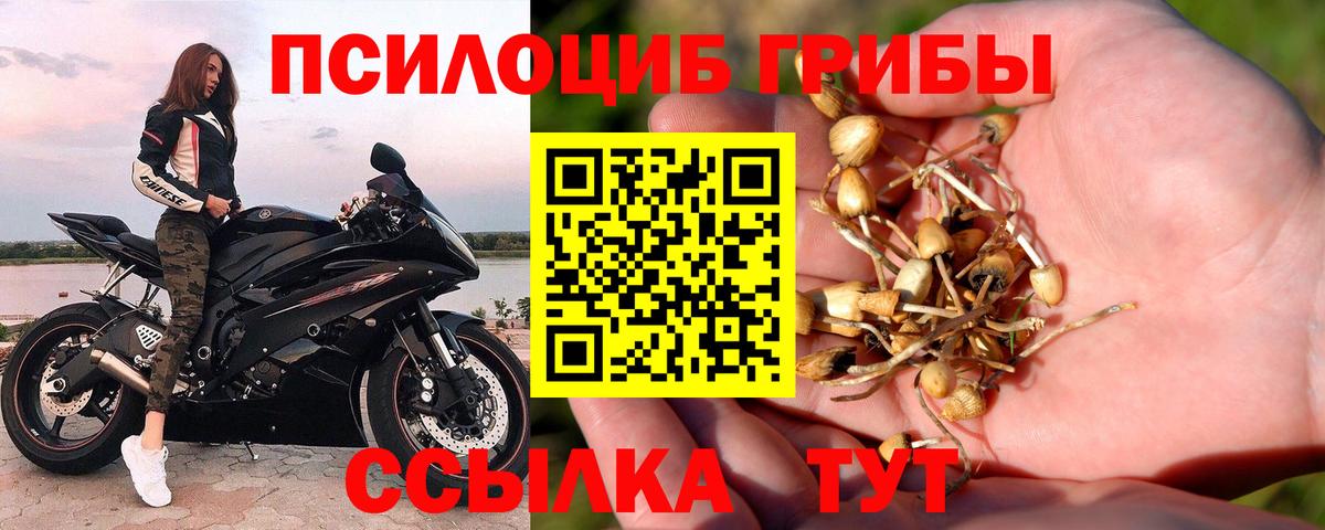 Псилоцибиновые грибы GOLDEN TEACHER Горячий Ключ