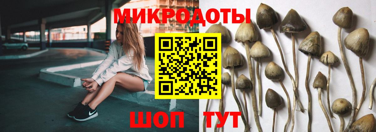 Галлюциногенные грибы MAGIC MUSHROOMS  купить  сайты  Галлюциногенные грибы Magic Shrooms  Горячий Ключ 