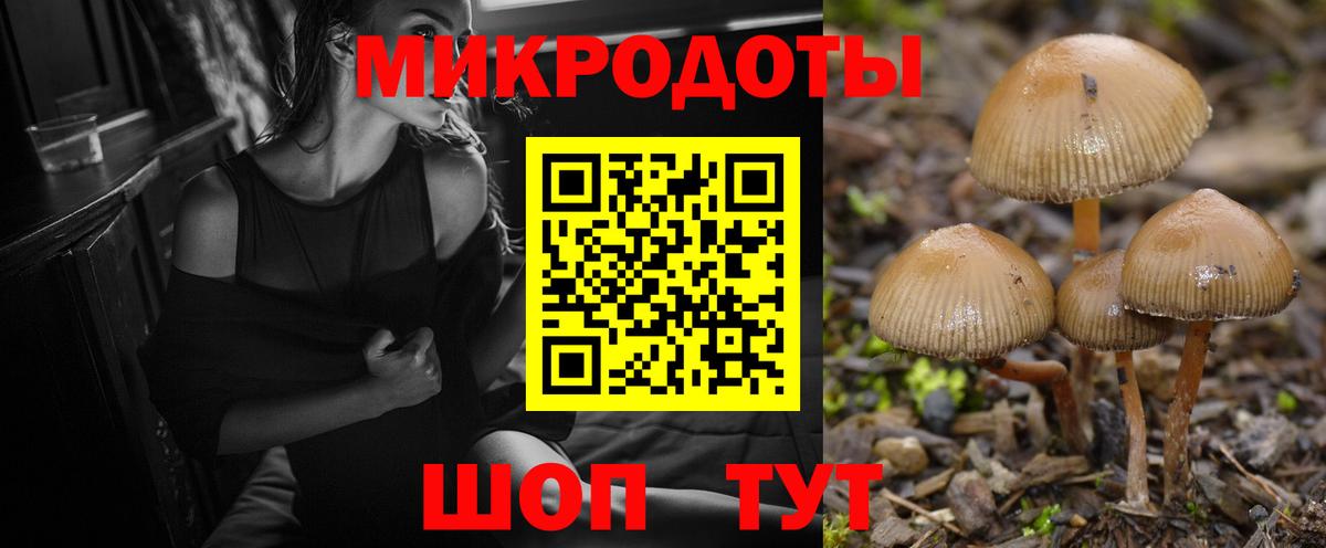 Псилоцибиновые грибы мухоморы Горячий Ключ